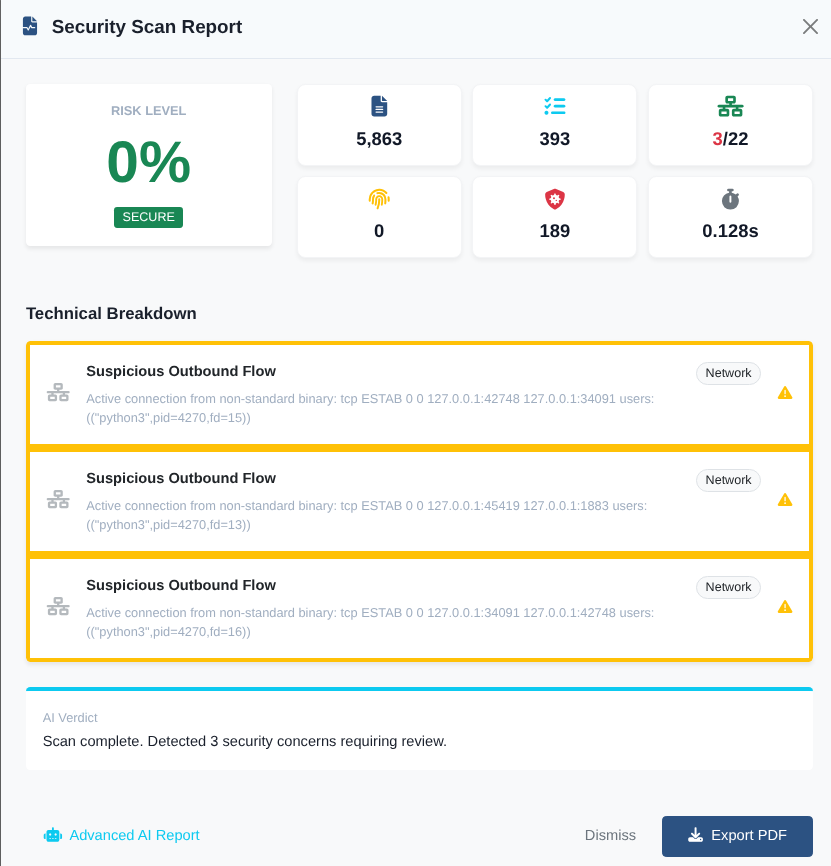 Scan Report